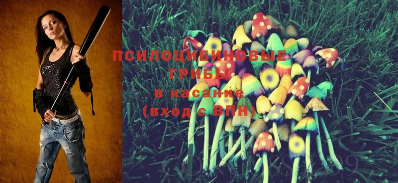 Галлюциногенные грибы Magic Shrooms  Сатка 